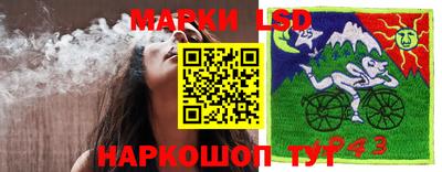 прущие грибы Будённовск