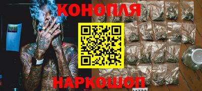 прущие грибы Будённовск