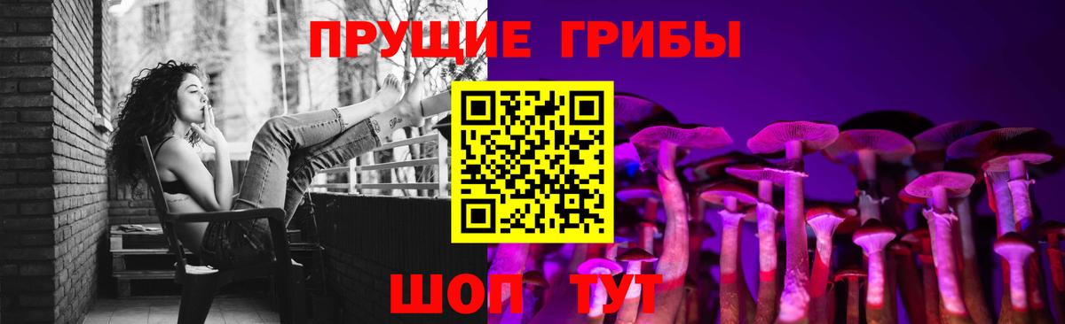 Галлюциногенные грибы MAGIC MUSHROOMS  Псилоцибиновые грибы Psilocybine cubensis  Пушкино  Вход с VPN 